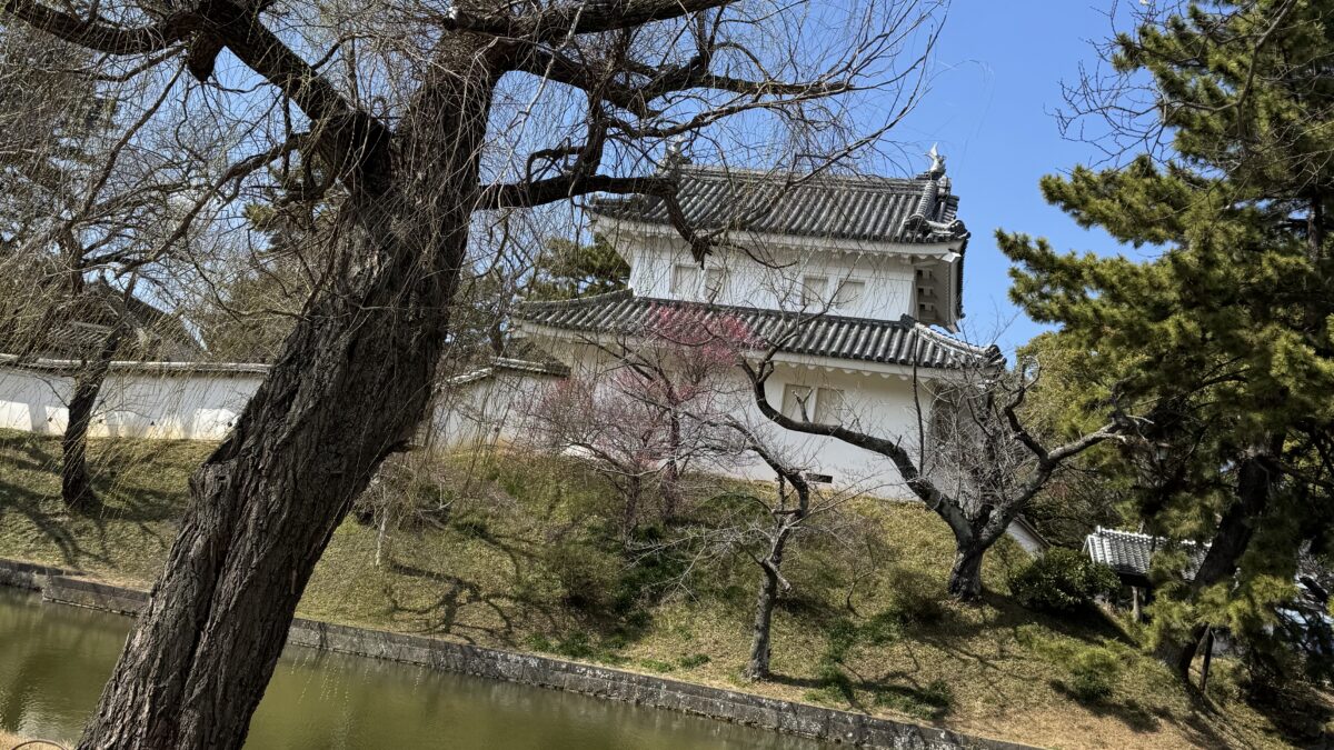 茨城県土浦市で映像送信型性風俗特殊営業（アダルト配信）の届出を代行しました