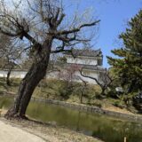 茨城県の亀城公園